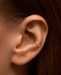 Conch