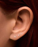 Lobe