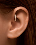 Rook