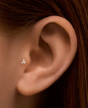 Tragus